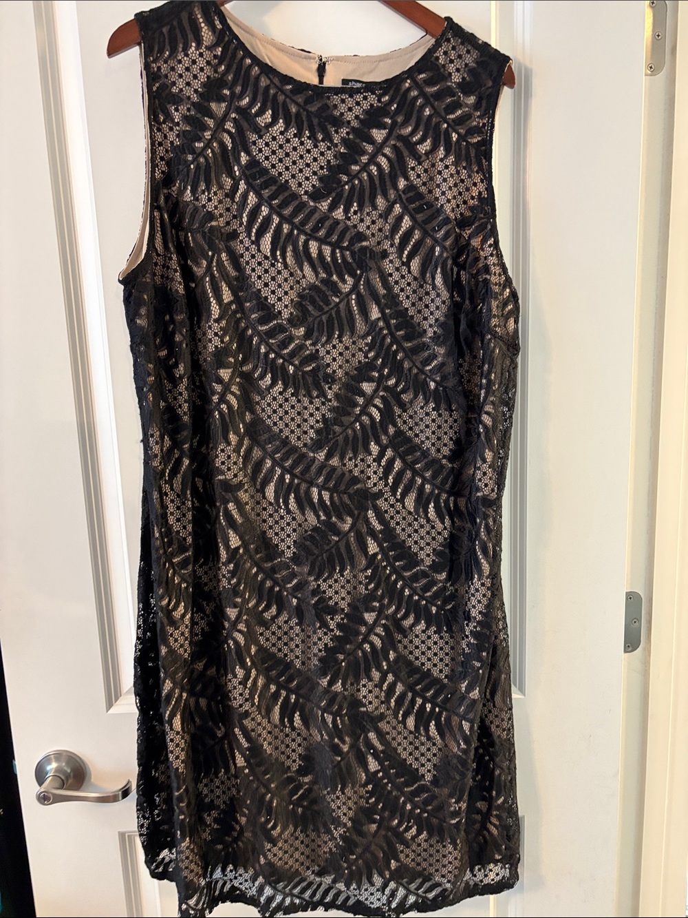 Sharagano Black Lace Overlay Dress with Nude Lining